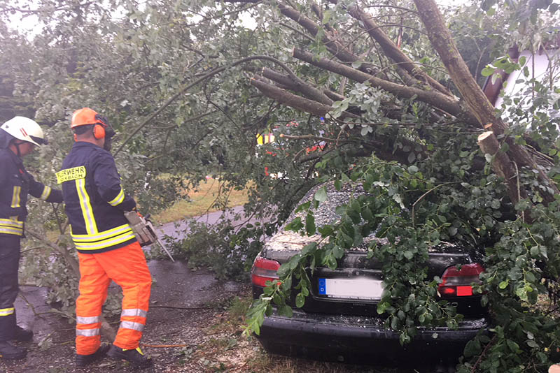 Sturm Klaus kann am Donnerstag Bume umwerfen. Archivfoto: Wolfgang Tischler