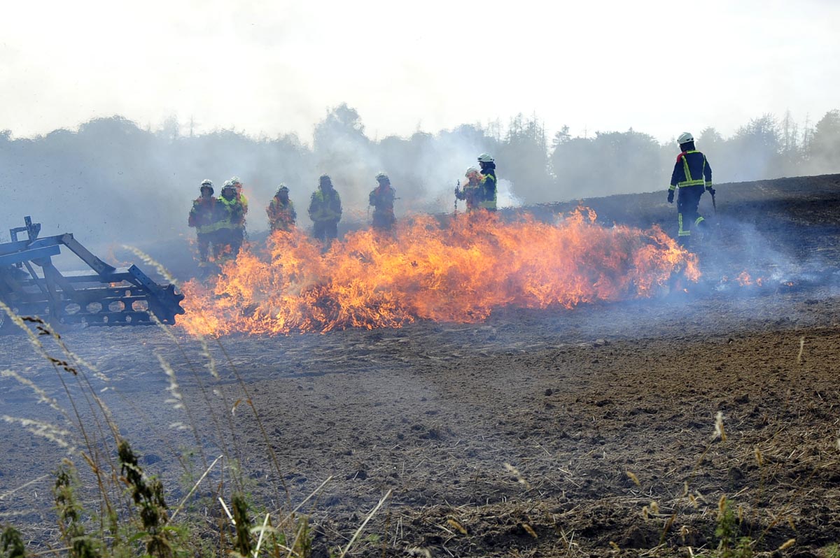 Einheiten aus der VG Asbach und der VG Altenkirchen-Flammersfeld bekmpften einen groen Flchenbrand. (Fotos: kk)