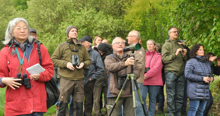 Wanderung zu den Tenren in Feld und Wald