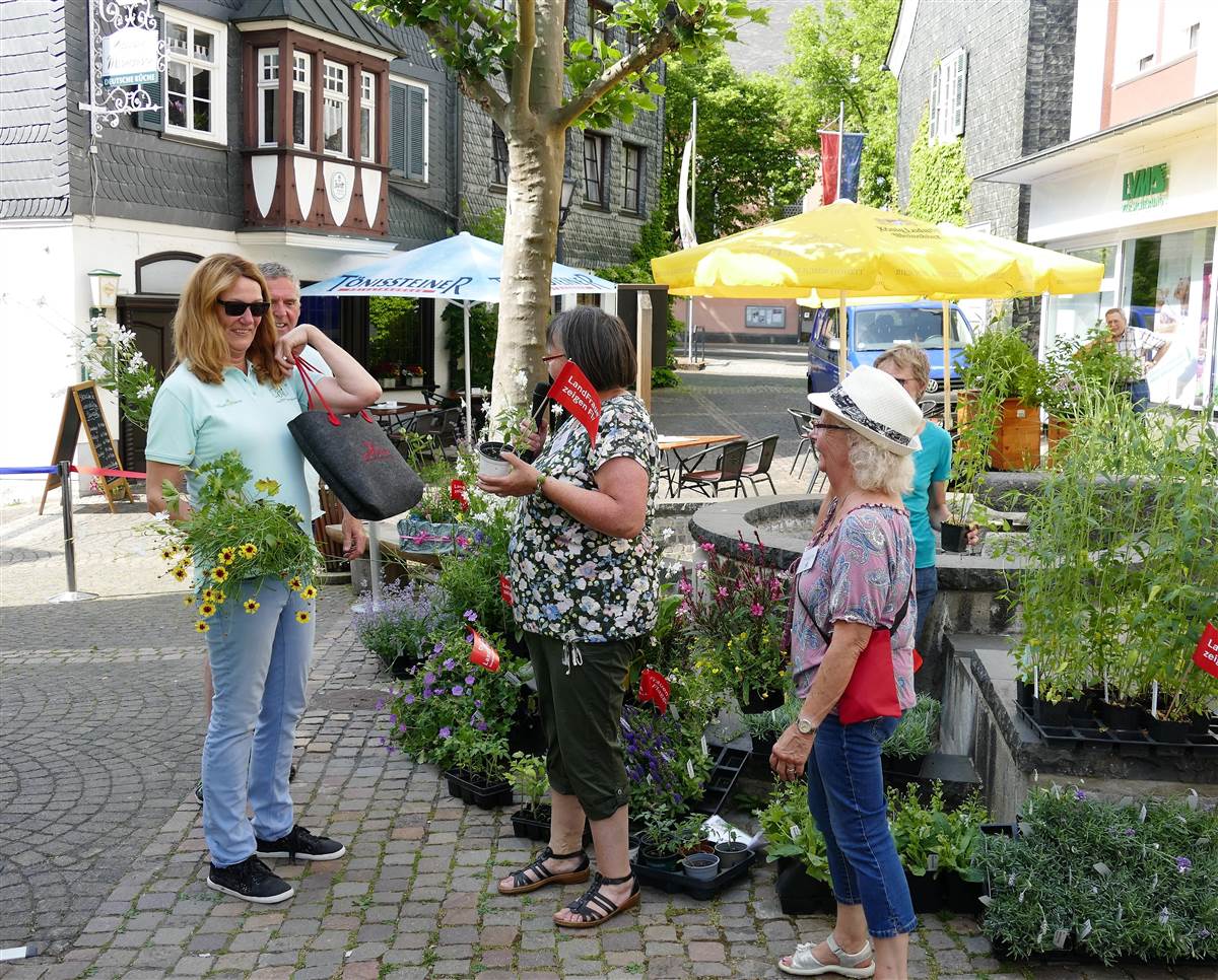 Die SWR-Gartenexpertin Heike Bloomgaarden vermittelte Interessierten ihr reichhaltiges Wissen. (Fotos: ma) 