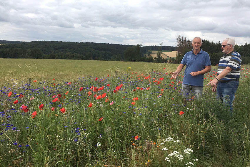 VVV Puderbach startet Naturprojekt Bienenweide