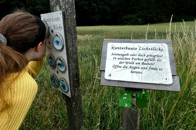 Der Entdeckerweg in Birnbach. Fotos: Axel Griebling