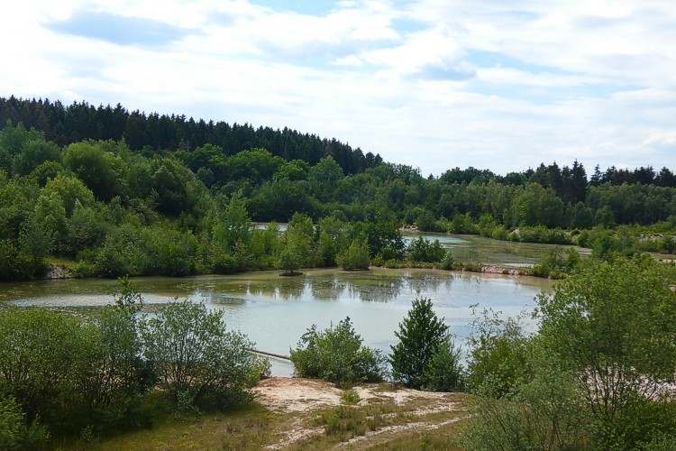 Wandertipp: Auf den Spuren unserer Vorfahren im Wald bei Oberdreis