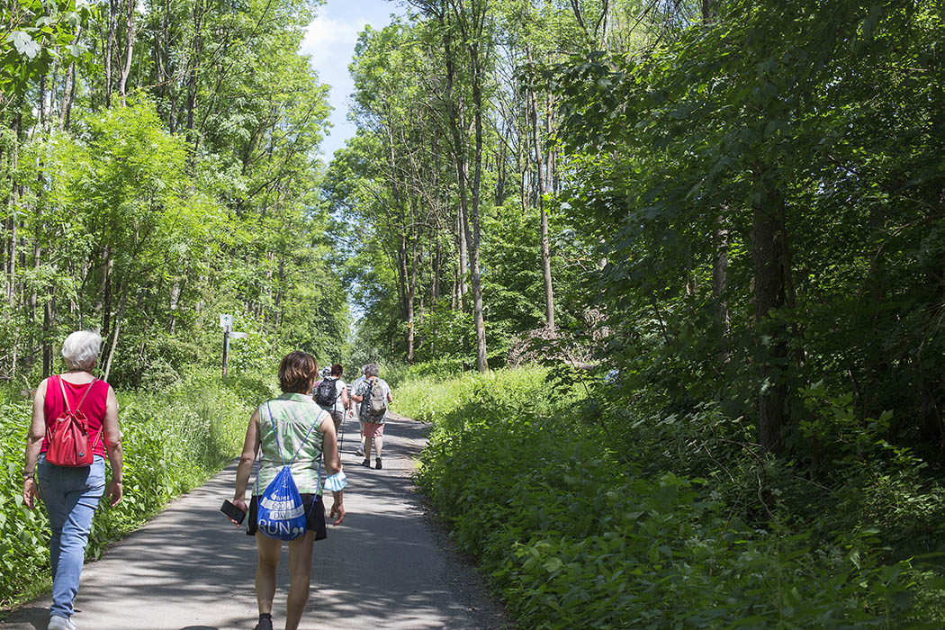 Wanderungen bergab zum Rhein und auf der Rheinhhe