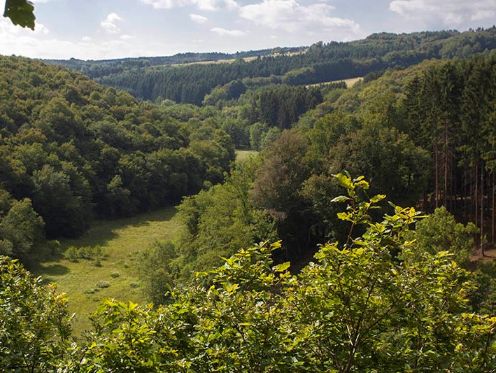 Ein voller Tag in der freien Natur. (Symbolfoto)