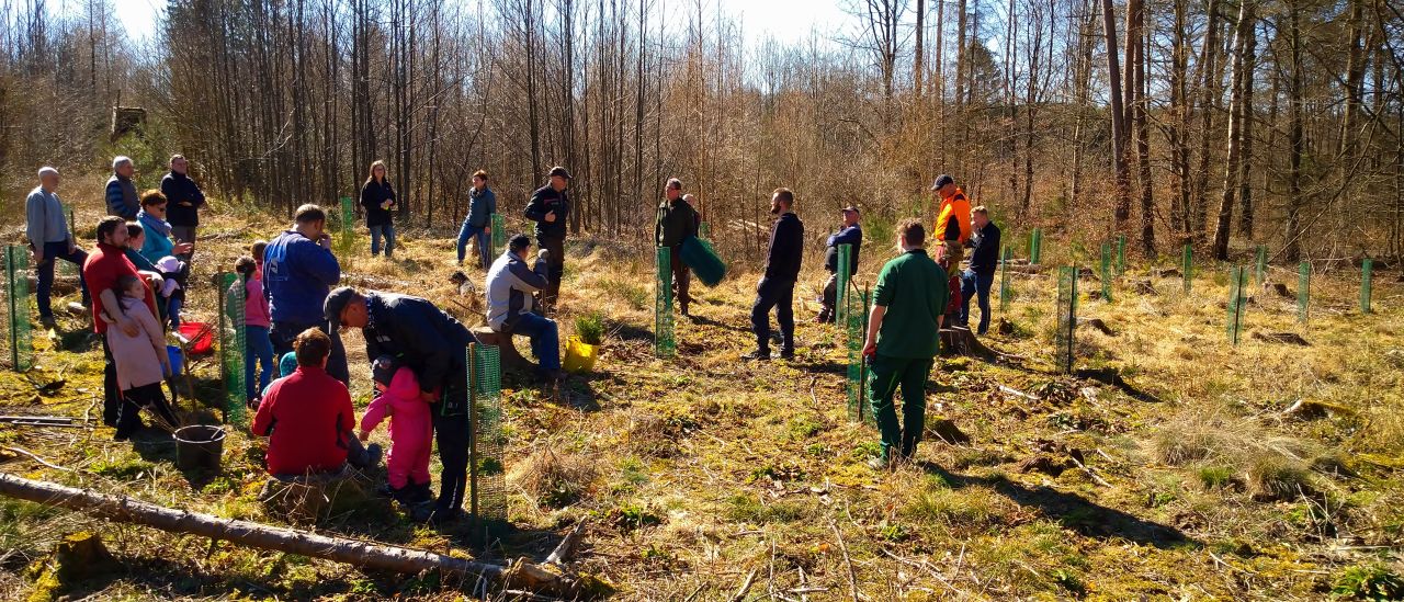 Wiederbewaldungs-Initiative im Gemeindewald Dürrholz