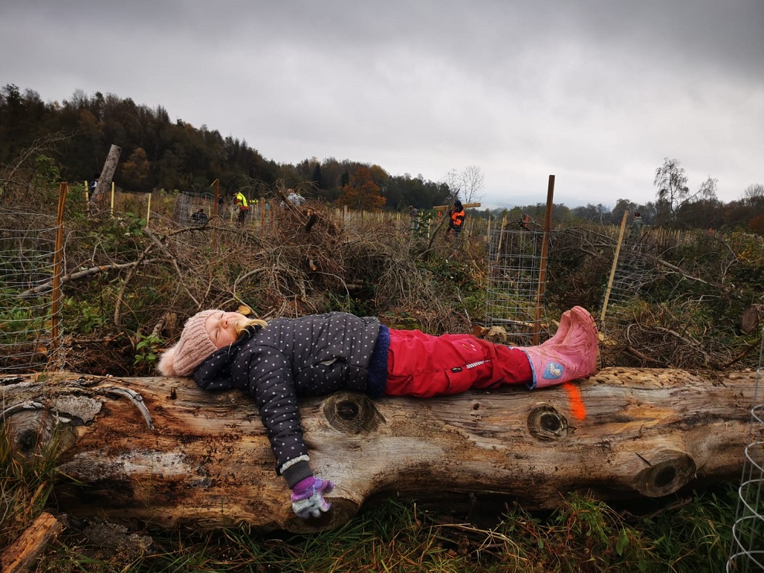 Das Ziel 100.000 Bume im Westerwald zu pflanzen, spornt den "Verein Wller Helfen e.V." weiter an. (Fotos: privat)