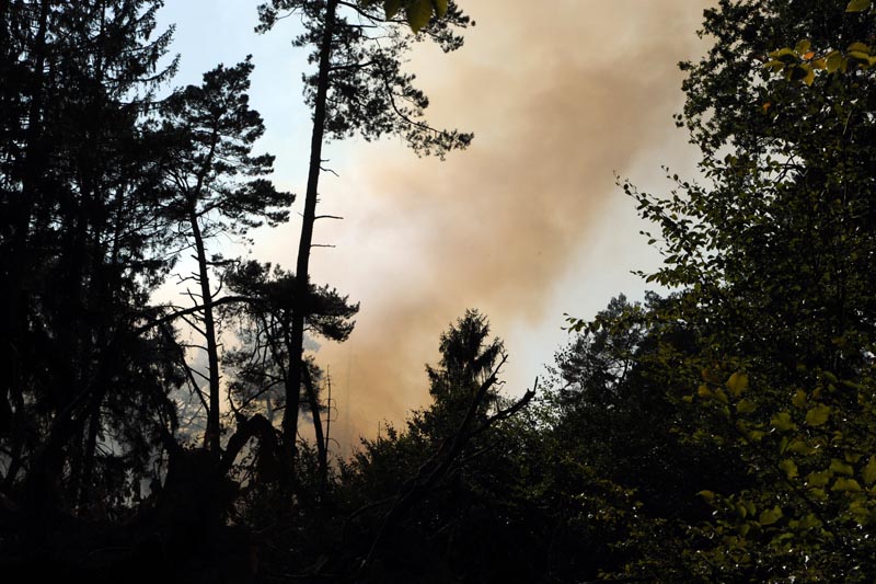 Waldbrand an gleicher Stelle – L 272 zeitweise voll gesperrt