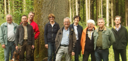 Beim Waldbegang auf den Gelbachhhen kamen die Teilnehmer auch am Naturdenkmal der alten Eiche vorbei, die etwas abseits des Wanderweges zwischen Reckenthal und Untershausen liegt. (Foto: Stadt/Verbandsgemeinde Montabaur)