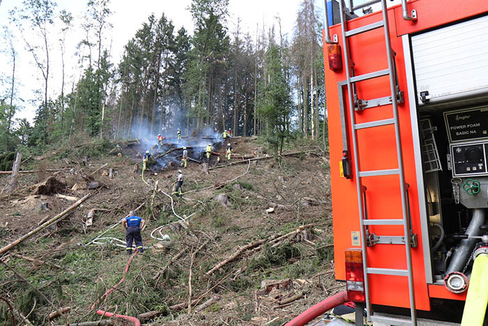 Waldbrand bei Bhlingen