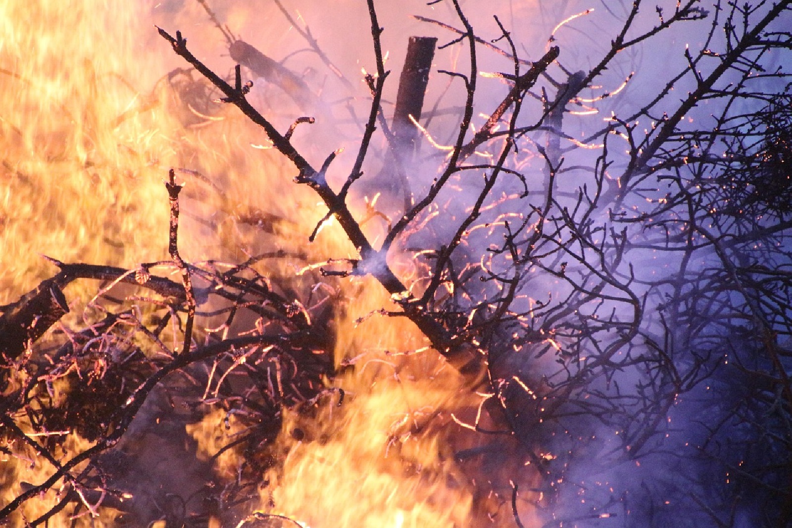 Eilmeldung: Großalarm! Waldbrand bei Gebhardshain - Es wird evakuiert!