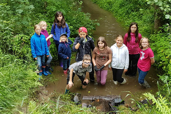 Bei Waldfreizeit wundersame Tiere entdeckt