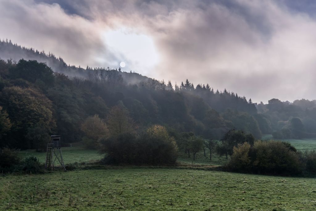 Naturdokus ber Wiedtal und Naturpark auf Anixe HD 