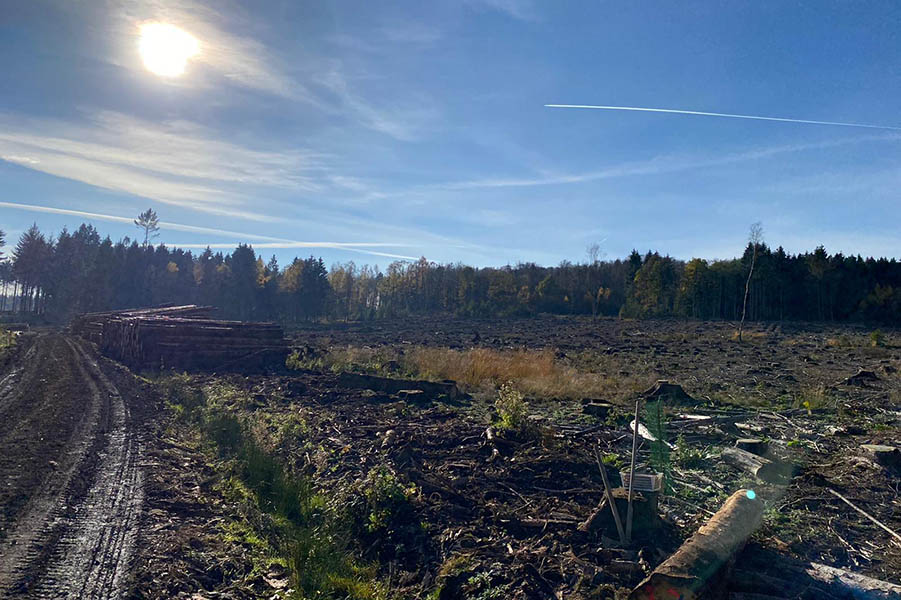 Zur Wiederaufforstung vorbereitete Flche des Stadtwaldes Unkel auf der Hinterheide. Fotos: CDU