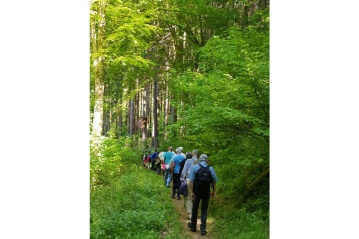 Wandern im Kannenbckerland: Am 3. Juni "Rund um Alsbach"