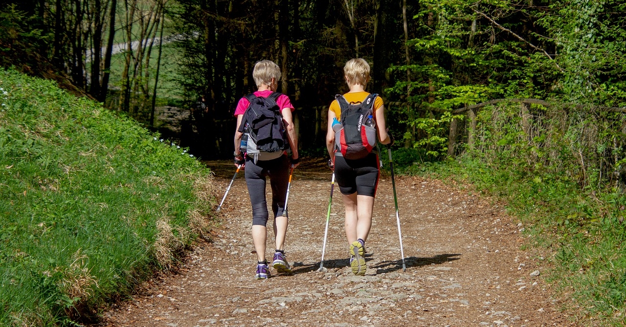 Zum 4. Mal ausgezeichnet: Natursteig Sieg bleibt offizieller Qualittswanderweg