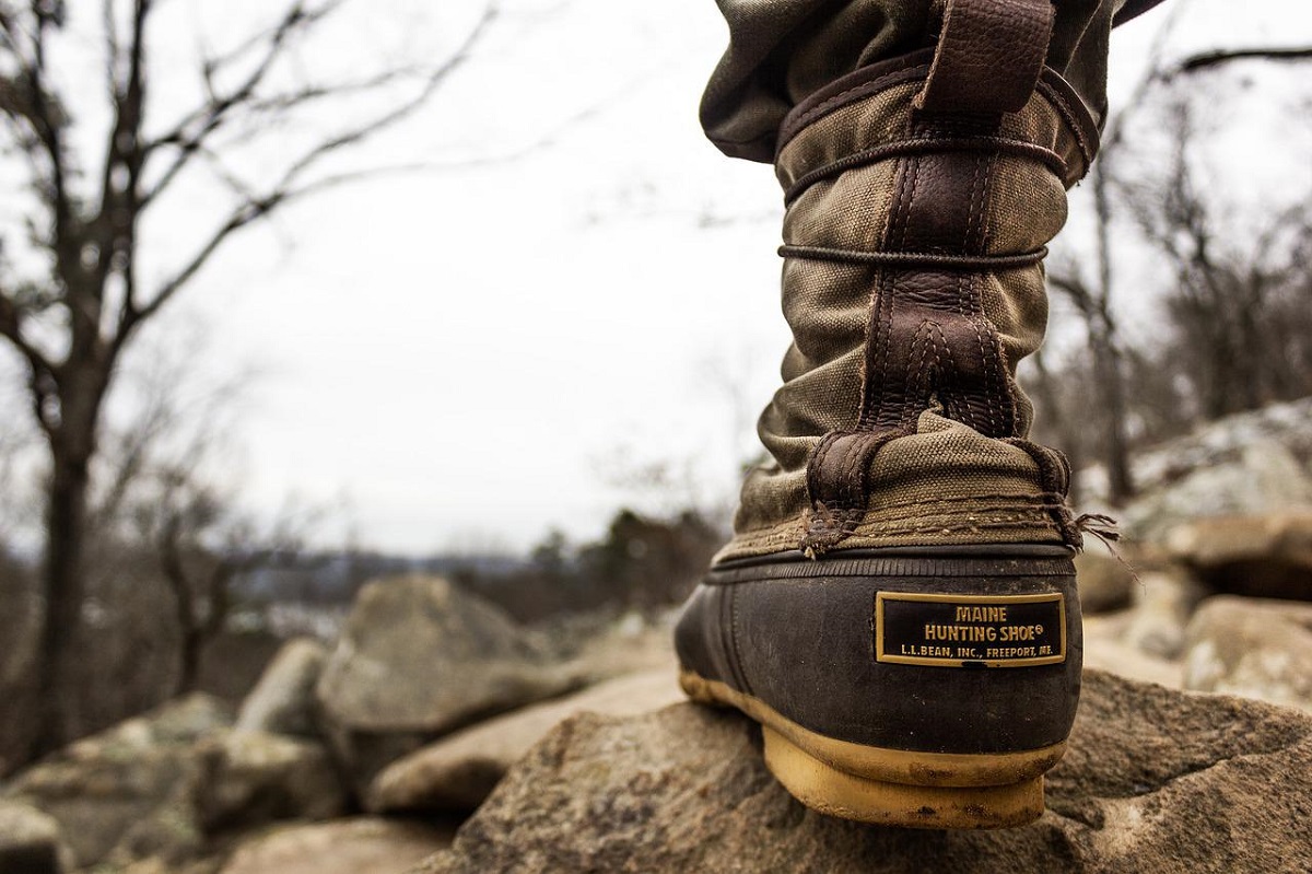 Wanderungen im Mhlbachtal und auf dem Rheinsteig