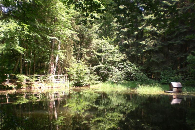 Letzte kostenfrei gefhrte Wanderung im Kannenbckerland am Samstag in Hhr-Grenzhausen