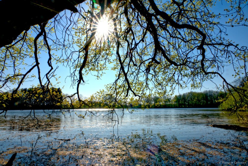 Kurze 3-Weiher-Wanderung an der Westerwlder Seenplatte