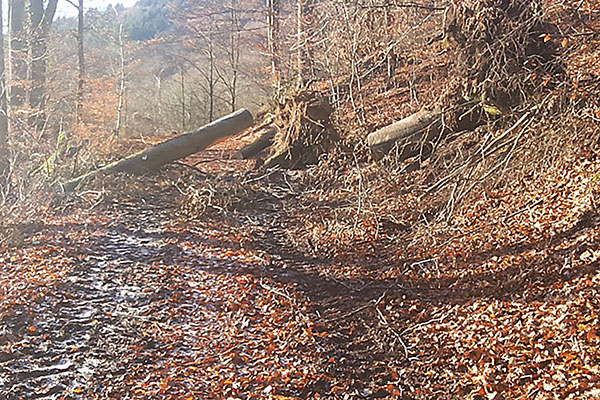 Im Winter knnen Wanderwege nicht immer in bestem Zustand sein. Momentan mssen sich Wanderer auf Einschrnkungen einstellen. Foto: Stadt Neuwied