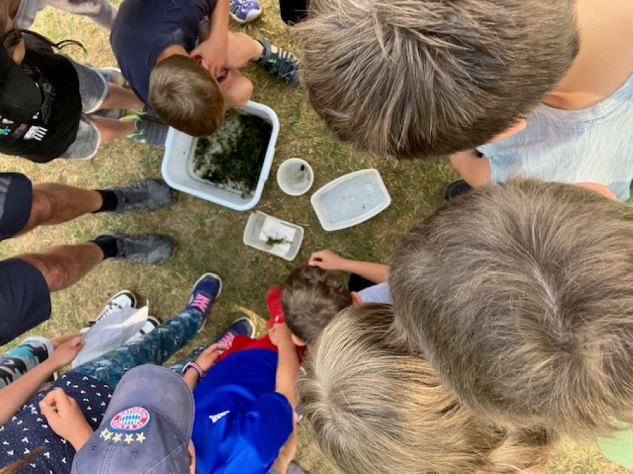 NABU erklrt Kindern die Wasserwelten