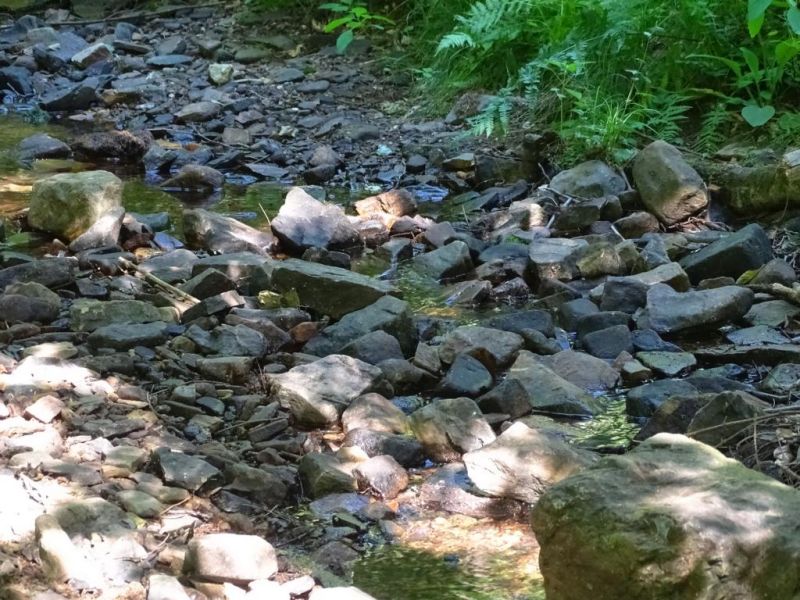 Brgerinitiative sieht die Trinkwasserversorgung in Gefahr