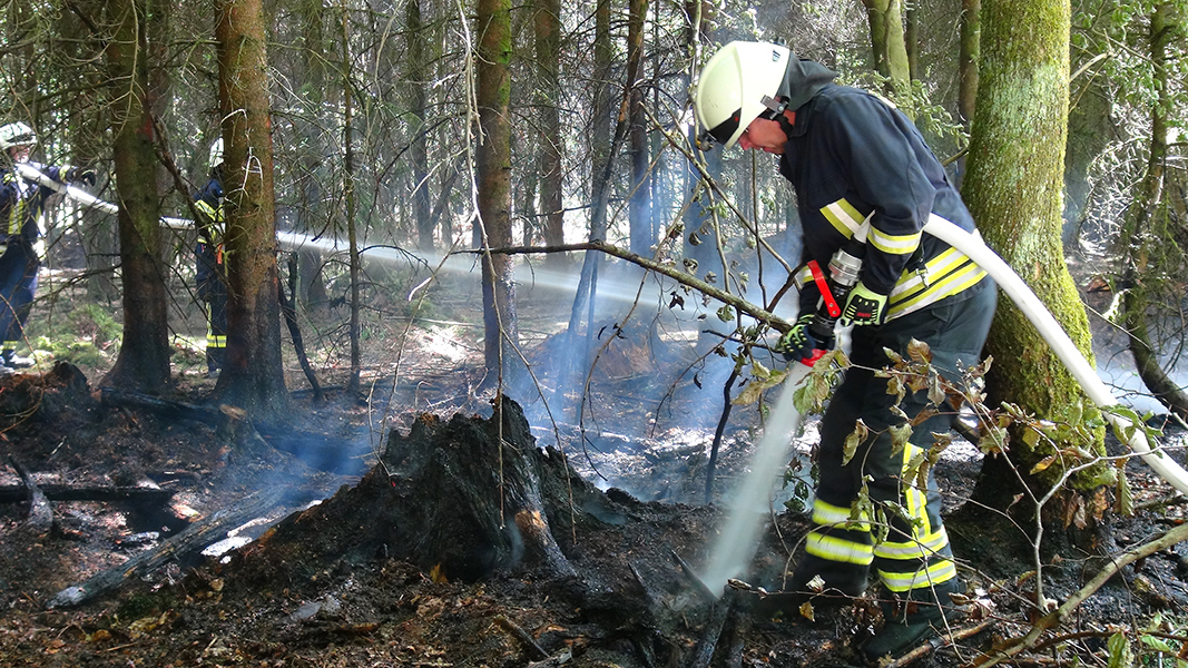 Waldbrand bei Steimel 