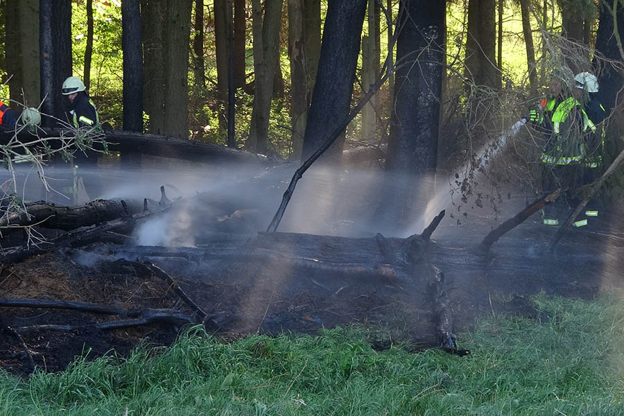 Beginnender Waldbrand bei Sessenhausen