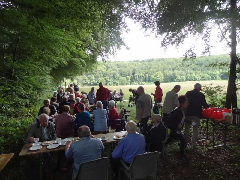 So schn war das im Wald-Caf im letzten Jahr in Willihause unweit der sagenhaften Altweibereiche. Foto: privat 