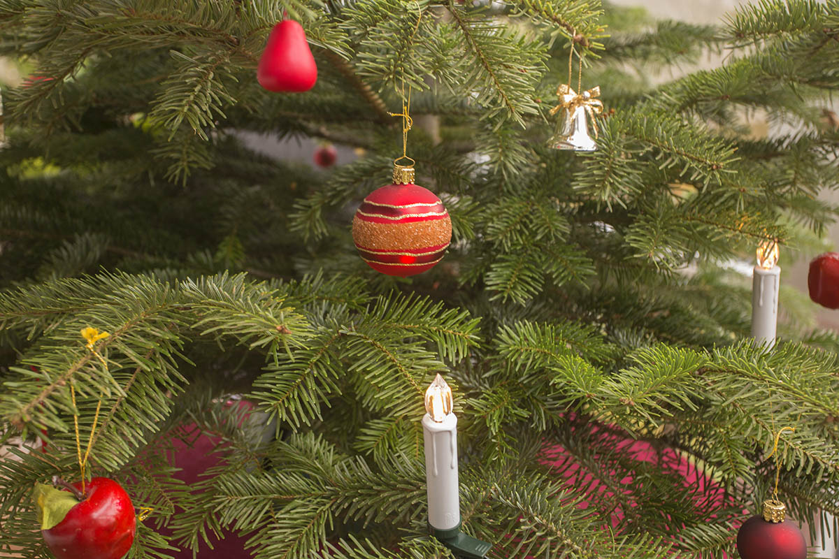 Das Westerwaldwetter an Weihnachten