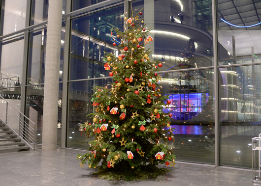 Der Weihnachtsbaum und seine vier Steuerstze
