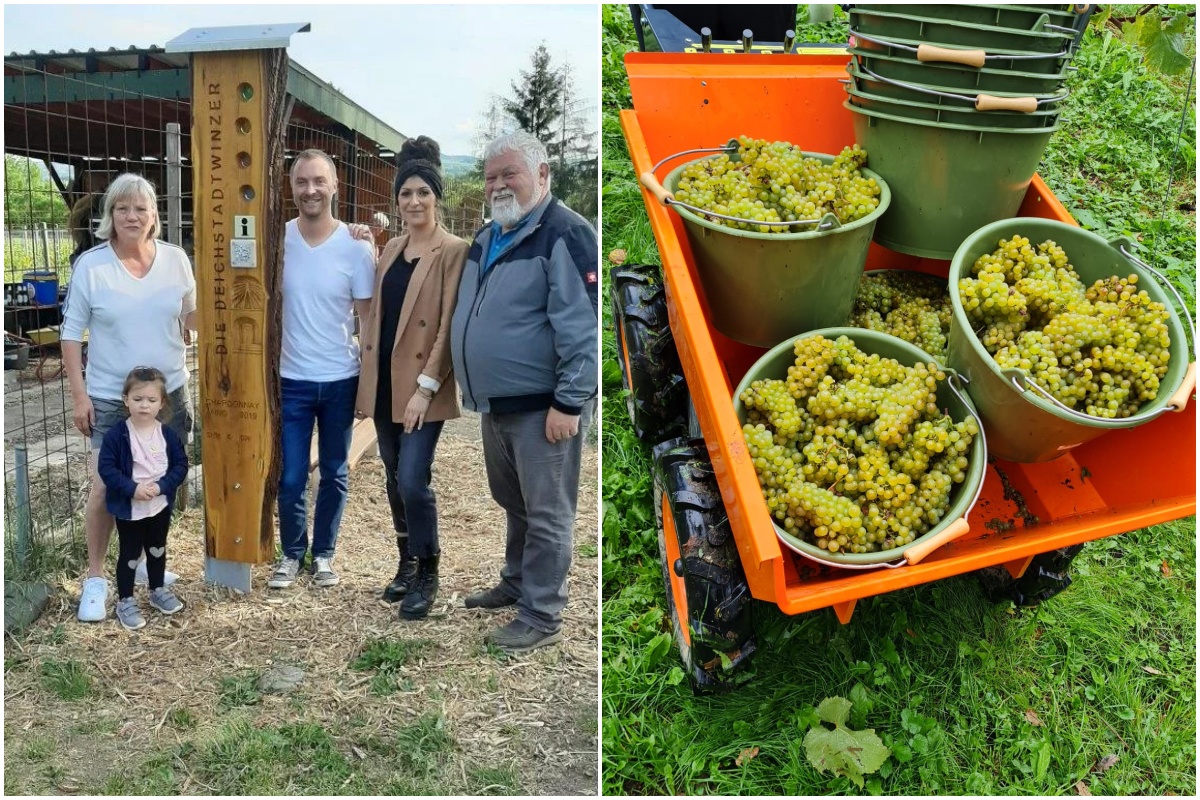 Hobbywinzer Dietmar Rieth stellt das Weinjahr 2022 vor