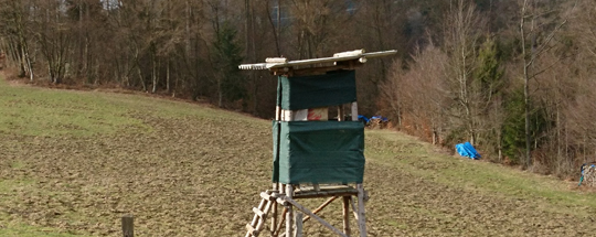 Ein Schadensbild, hier sorgten Wildschweine fr eine umgebrochene Wiese. Foto: Daniel Seibert