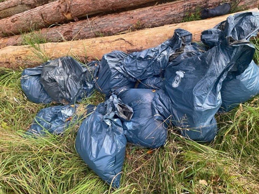 Benutzte Windeln wiederholt im Wald abgelagert