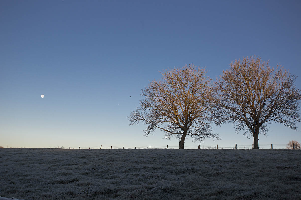 Westerwaldwetter: Temperatursturz und Schnee 