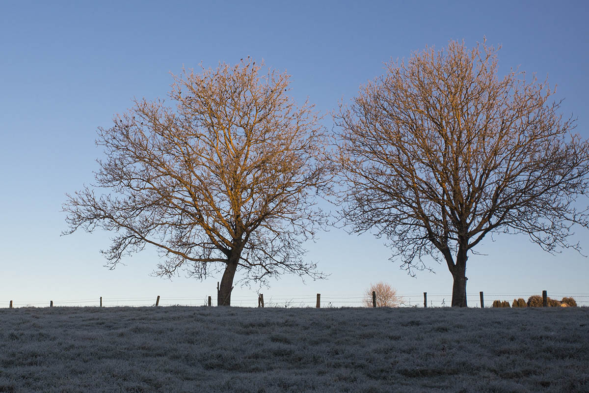 Wetterprognose fr das dritte Adventwochenende im Westerwald