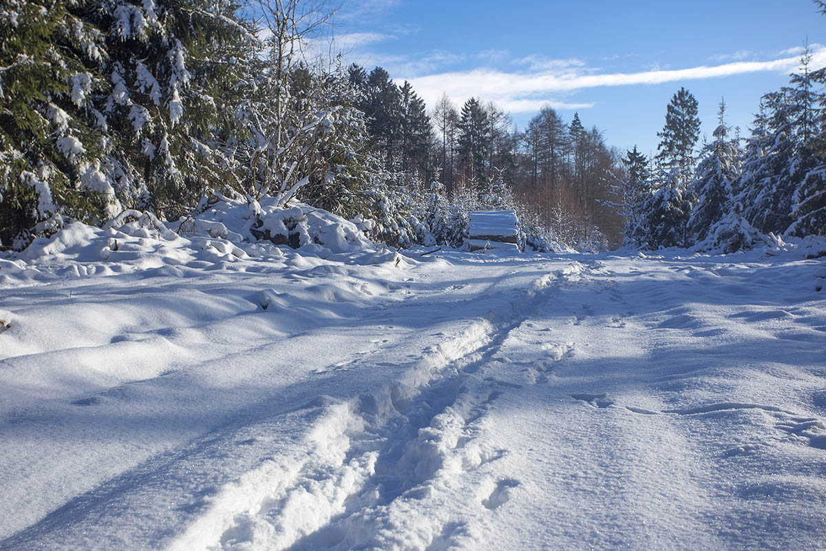 Der Winter hat den Westerwald voll im Griff. Foto: Wolfgang Tischler