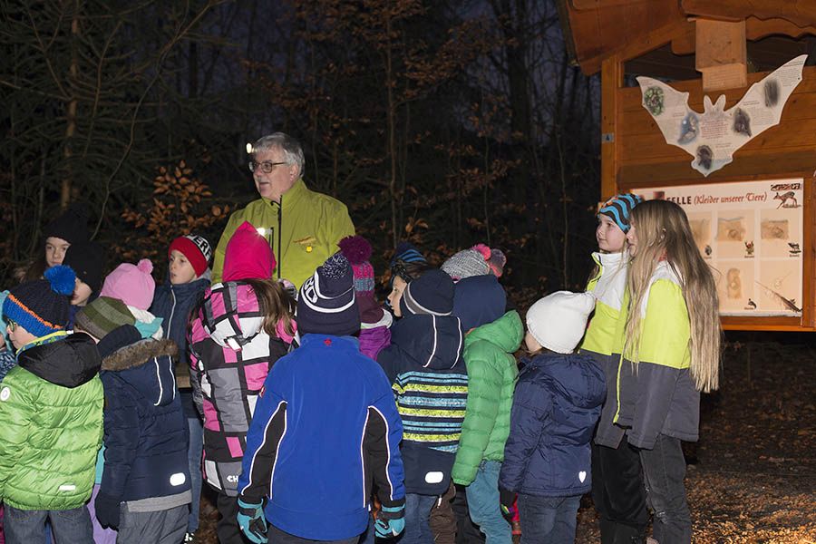 Stimmungsvolle Winterwanderung auf dem Naturerlebnispfad Drrholz