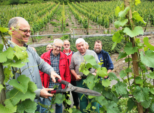 Winzer Martin Sturm (links) betreut die Gruppe persnlich und stellt dafr in der Saison 2019 bereits zum achten Mal einen kleinen, gut begehbaren Lehrweinberg zur Verfgung. (Foto: privat)  