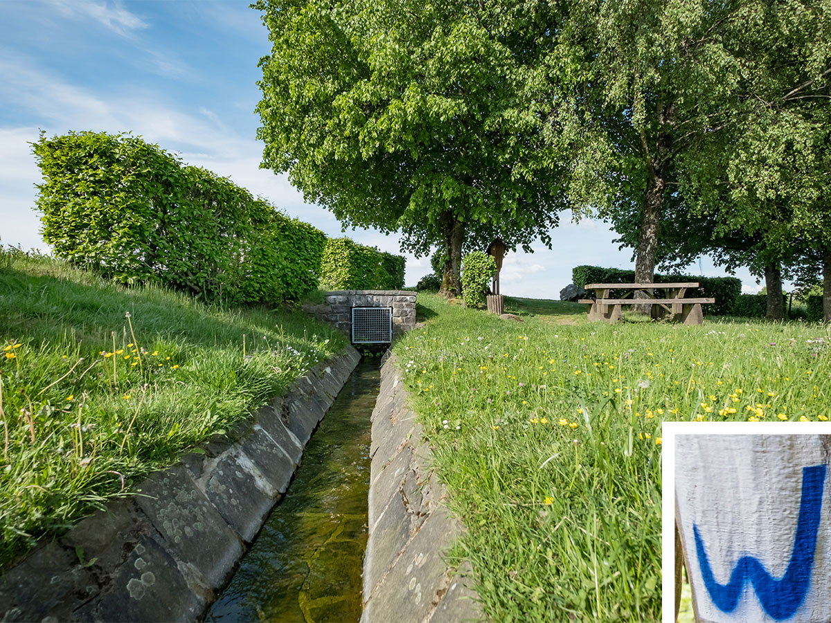 Wiedweg Etappe 2: Seenplatte, Jahrtausendkirche und Skulpturen im Flusstal