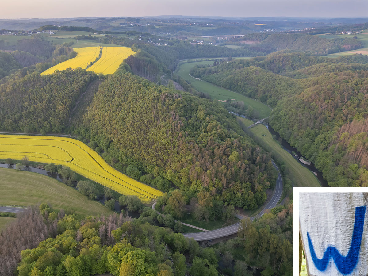 Die sechste Etappe ist zwar offiziell schwer, aber es lohnt sich! (Foto: Westerwald Tourismus)