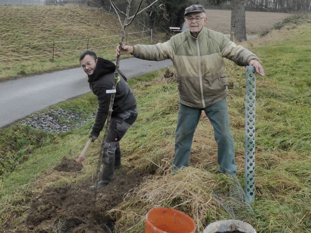 Streuobstaktion - Junge Obstbume fr die Region