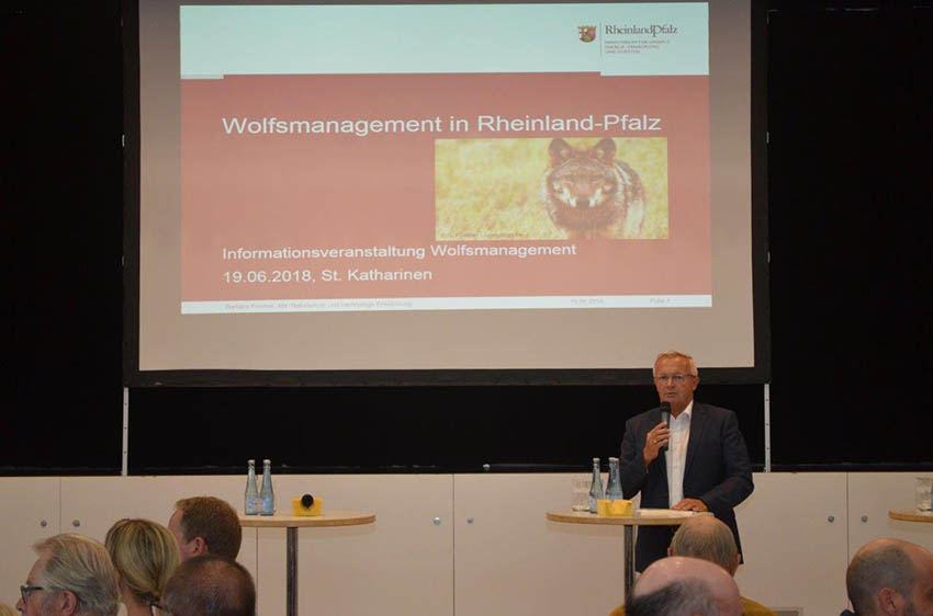 Wolfsmanagementplan fr den Westerwald vorgestellt