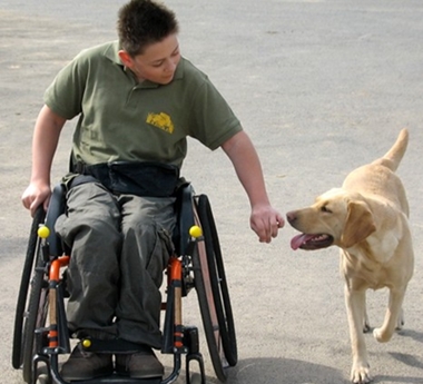 Kinder und Hunde knnen Partner werden 