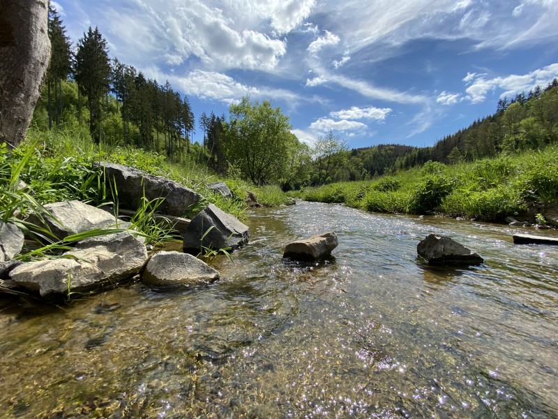 Wandertipp: Von Bitzen ins Holperbachtal und zurck