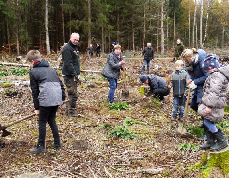 25 Eichen, aber auch Zedern, Esskastanien, Lrchen, Weitanne und Schwarznuss wurden zum Auftakt des Projekts Westerwald-Kinder am Fu des Kppels in Hhr-Grenzhausen gepflanzt.  Fotos: privat