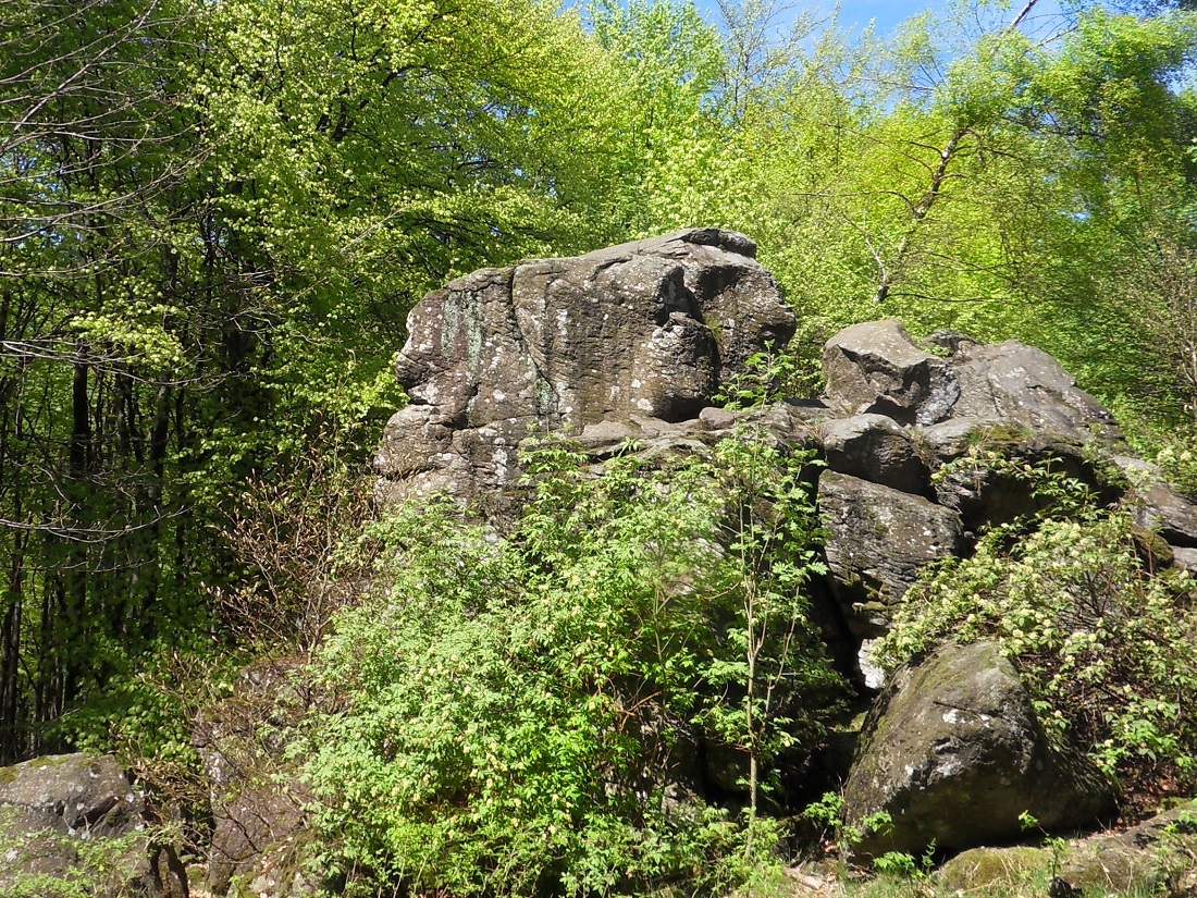 Typisches Beispiel fr Westerwlder Natur. (Fotoquelle: Westerwaldverein Bad Marienberg)