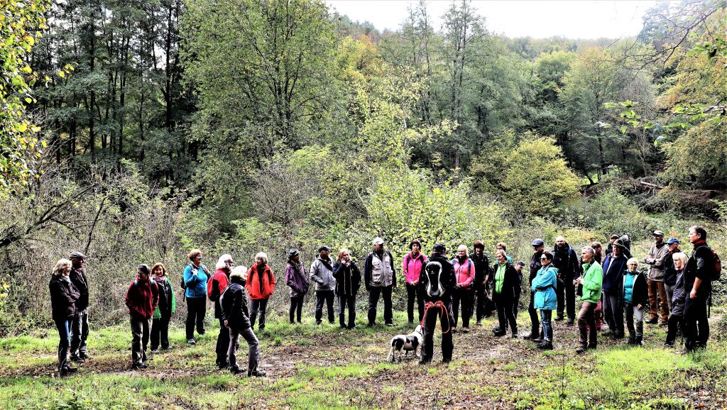 Raus in die heimische Natur will der Westerwald-Verein in der zweiten Jahreshlfte - wie hier bei der letzten Wanderung im Buchfinkenland im Herbst 2020. Foto: WWV