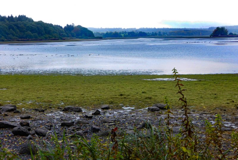 Wanderungen des WWV Bad Marienberg im Oktober 2020