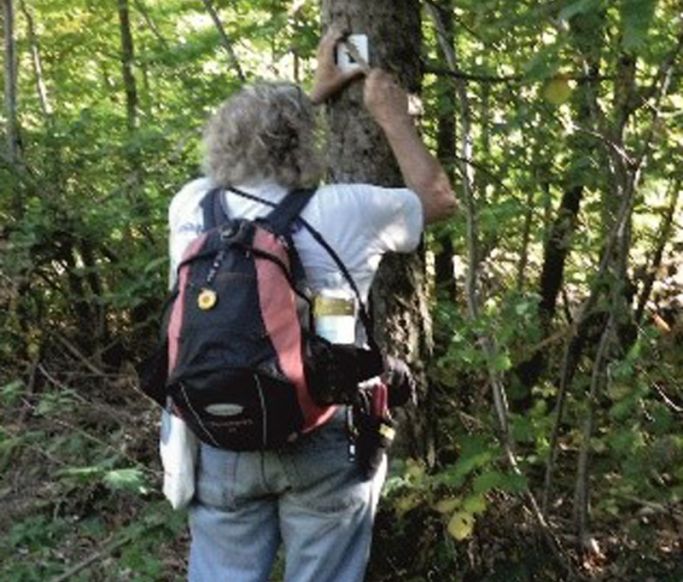 Markierungsarbeiten sind wichtig an den Wanderwegen. Foto: privat